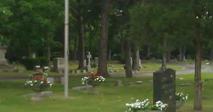 a flagpole in a grassy area