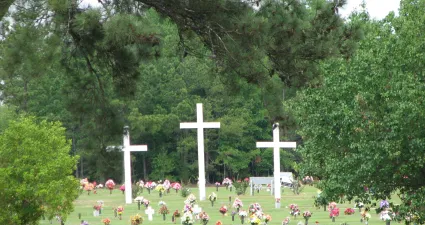 a large group of people in a park with a cross