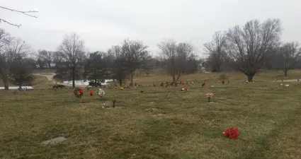 a field with animals in it