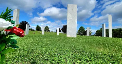 a field of grass with a flower
