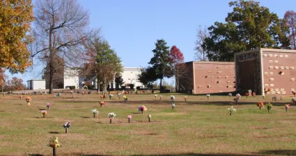 a group of people playing in a field