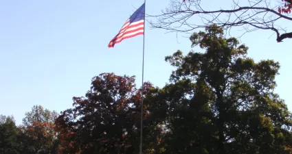 a flag on a flagpole