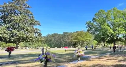 a park with trees and people