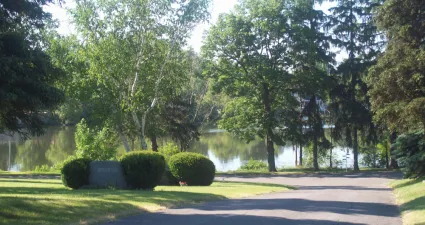 a road with trees and bushes on the side