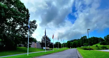 a road with flags on the side