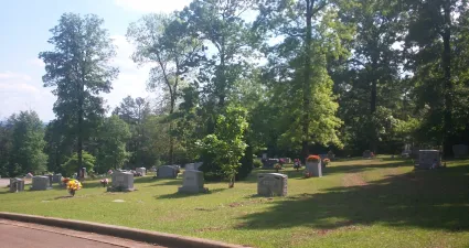 a park with trees and grass