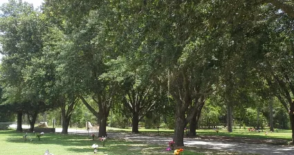 a group of people playing frisbee in a park