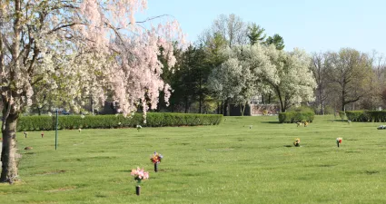 a large green lawn with trees and flowers