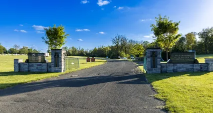 a road with grass and trees on the side