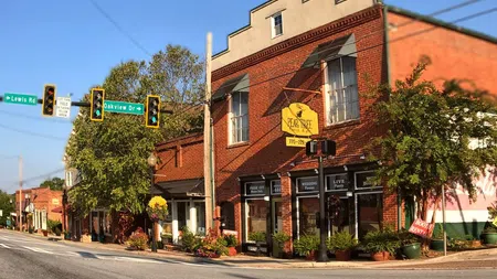 Historic red brick building with flower shop on corner under blue sky, traffic lights, and street signs for Lewis Rd and Oakview Dr.