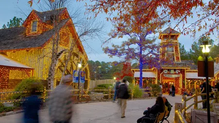 Historic buildings decorated with festive lights and autumn foliage with people walking and sitting outside in the evening.