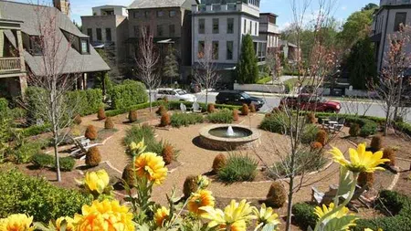 Sunny community garden with a circular fountain, blooming yellow flowers, and surrounding townhouses on a clear day