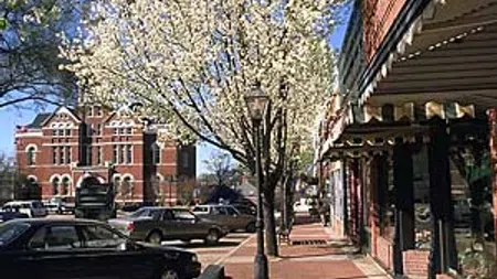 Downtown street with blooming trees, parked cars, historic brick buildings, and a clear blue sky on a sunny day