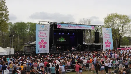 Large crowd gathered at Brookhaven Cherry Blossom Festival outdoor stage during daytime concert event.