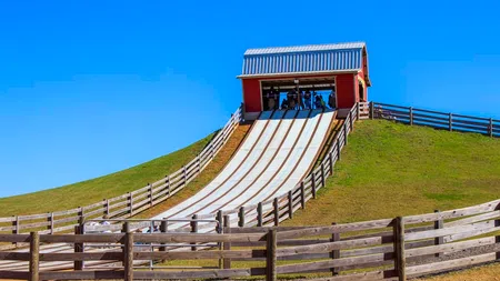 Large outdoor tubing hill with multiple lanes and wooden fences under clear blue sky on grassy slope.