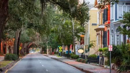Empty street lined with colorful historic houses and large oak trees draped in Spanish moss in a southern town.