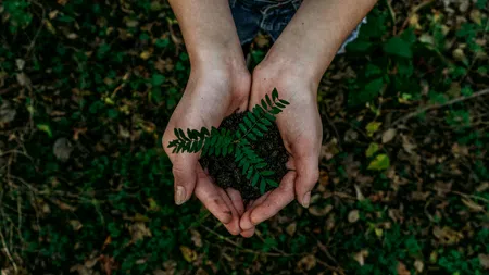a person holding a plant