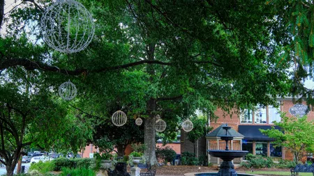 a tree with a globe in front of a building