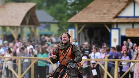 Jousting knight in orange and black armor holding a red rose while riding a horse in a sandy arena with spectators.