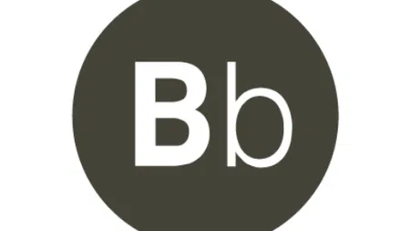 Brown Book icon