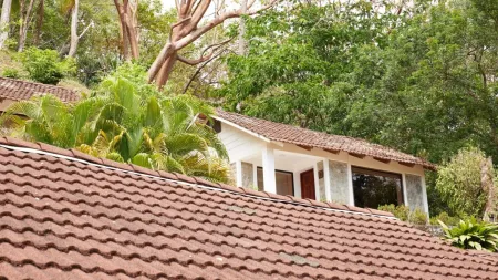 a house with a roof