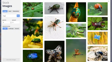 a collage of insects