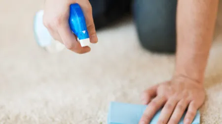 Best Carpet Cleaner: 6 Ways To Ruin Your Carpet