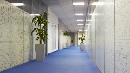 Getting The Best Carpet Cleaning Services And Why Carpeting Matters