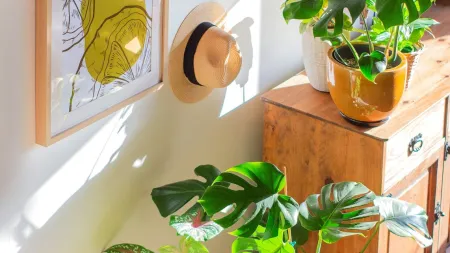 a couple of potted plants on a shelf