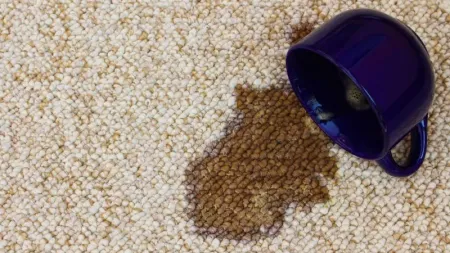 A purple mug tipped over on beige carpet, creating a noticeable coffee stain.
