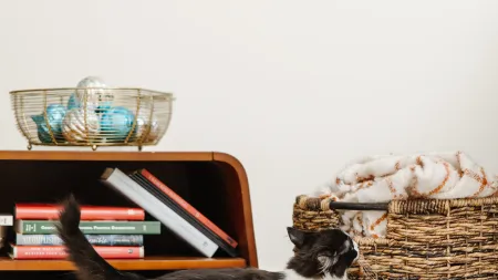 a gray cat standing next to a basket on white carpet