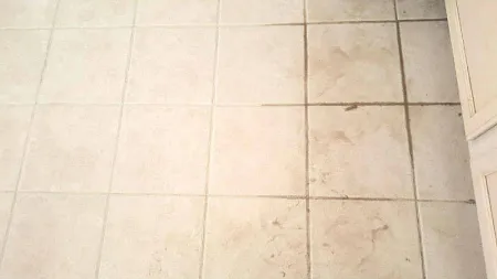 a white tiled floor with yellowing grout lines on the right side of the flooring