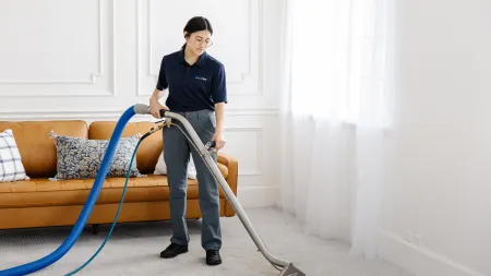 Professional cleaner using upholstery vacuum to clean carpet in bright living room with sofa