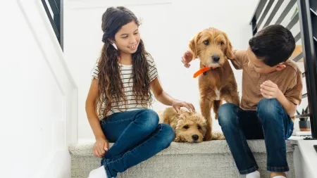 a group of kids and a dog