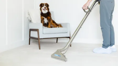 a dog sitting on a chair