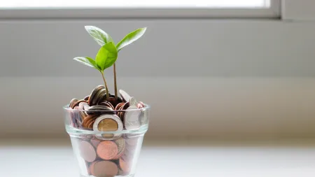 a plant in a glass jar