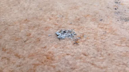 Close-up of burnt cigarette ashes on a beige carpet with visible fiber texture and discoloration.