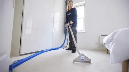 a person cleaning a carpet