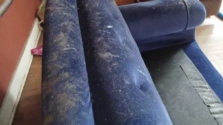 A worn blue couch covered in dust, showing signs of neglect in a cozy living room.
