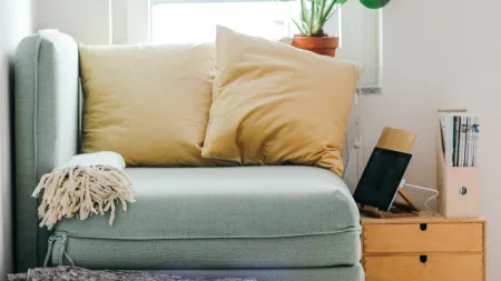 a dog lying on a couch