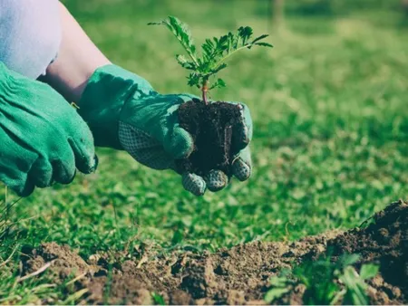 8 Promotional Products That Grow!