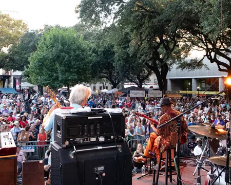 View from stage of a live band performing to a large outdoor crowd under trees at a music festival.