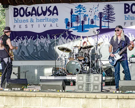 Live blues band performing on stage at the Bogalusa Blues and Heritage Festival outdoor event.