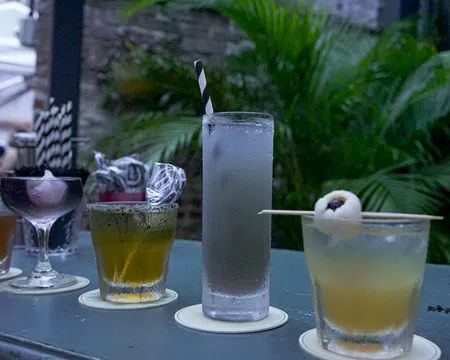 Assorted cocktails in different glasses on a bar counter with greenery in the background at dusk.