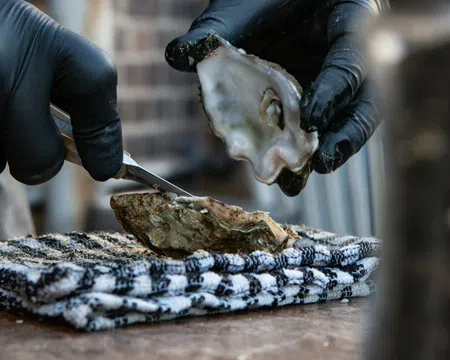 Hands wearing black gloves shucking a fresh oyster over a striped towel on a wooden surface.