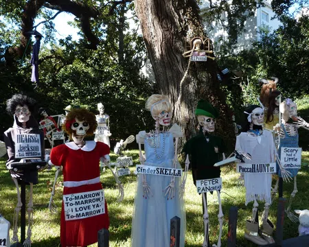 Halloween skeleton characters with humorous signs in a sunlit yard with trees and a house in the background.