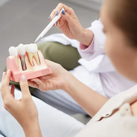 Dental professional demonstrating dental implants using a model during a patient consultation.