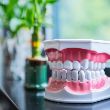 Dental teeth model on a windowsill with blurred green plants in the background.