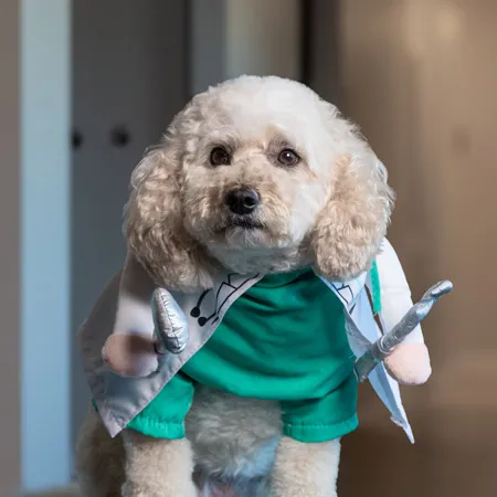 Dr. April