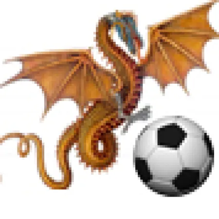 York Institute Lady Dragon Soccer Team